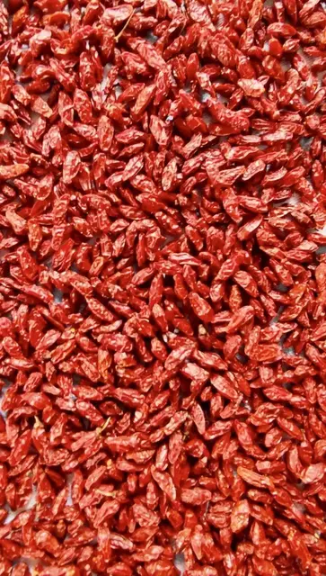 Getrocknete Goji Beeren