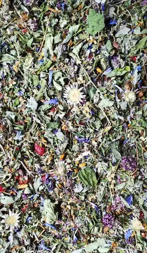 Teemischung aus Teeminze, Ysop, Oreganoblüten, Hagebutten, Kornblumen und Johanniskraut