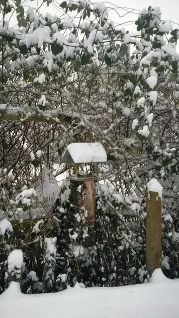 Vogelhaus bedeckt mit Schnee